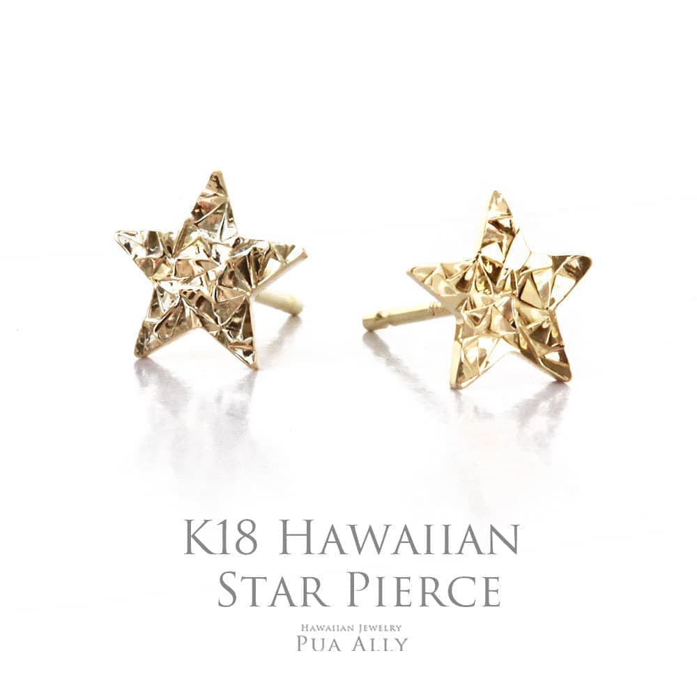 メーカー直売 14K THE HAWAIIAN JEWELRY pierce ピアス asakusa.sub.jp