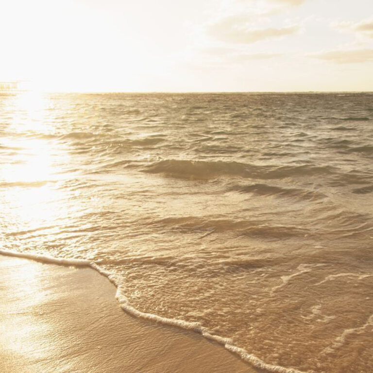 朝日に昇るサンセット