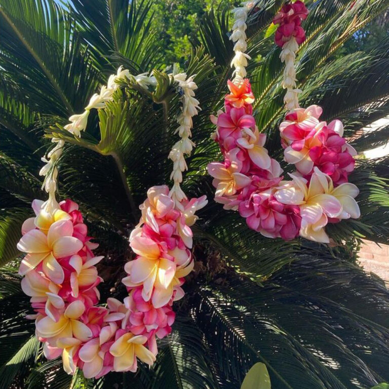 ボタニカルな花冠