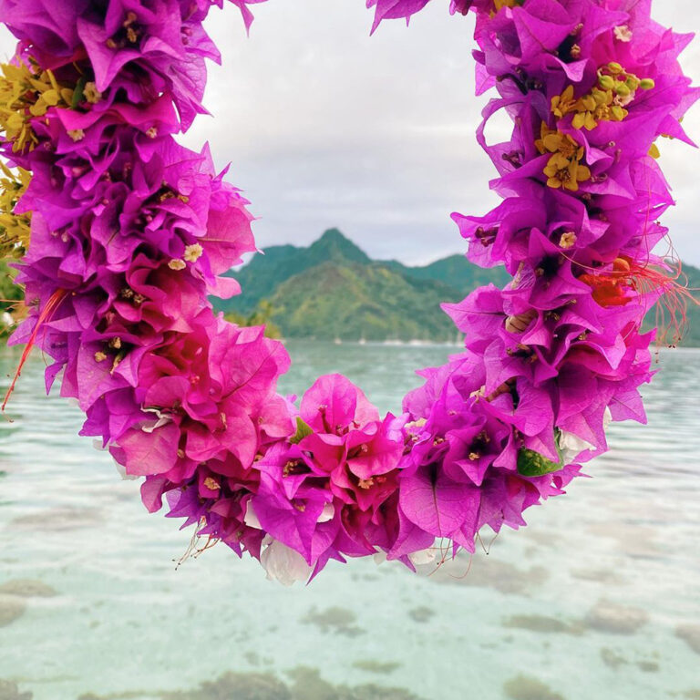 ブーゲンビリアの花冠と島と海の景色