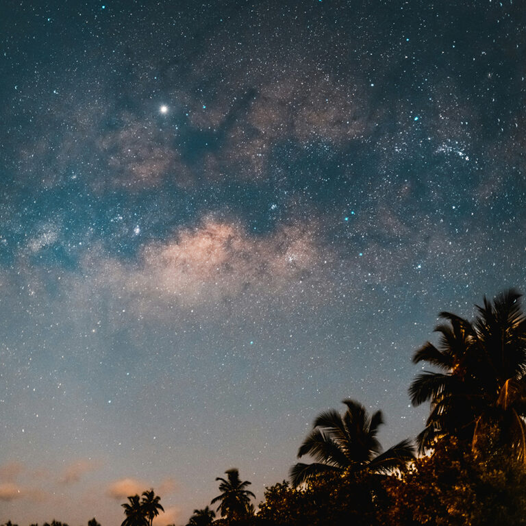 南国のヤシの木と星空