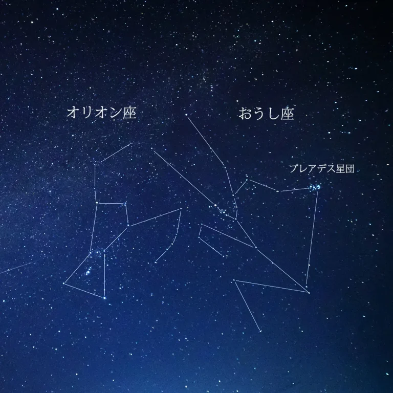 ハワイアンジュエリーマカリイの意味オリオン座・おうし座・プレアディス星団が写っている夜空