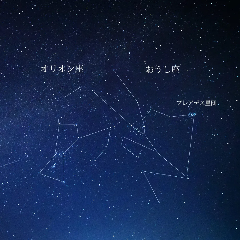 オリオン座・おうし座・プレアディス星団が写っている夜空