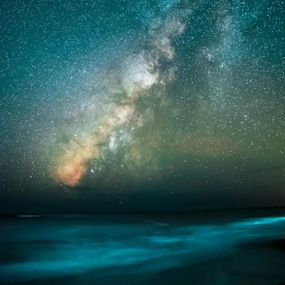 夜の空と海の画像