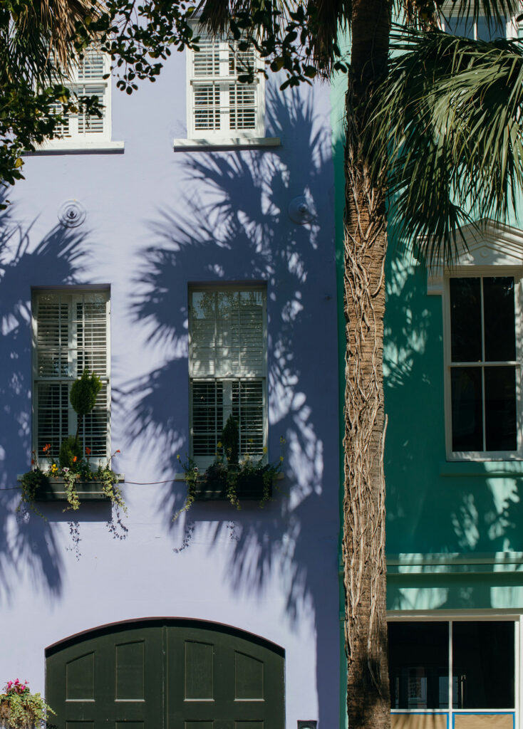 カラフルな建物にヤシの木の影