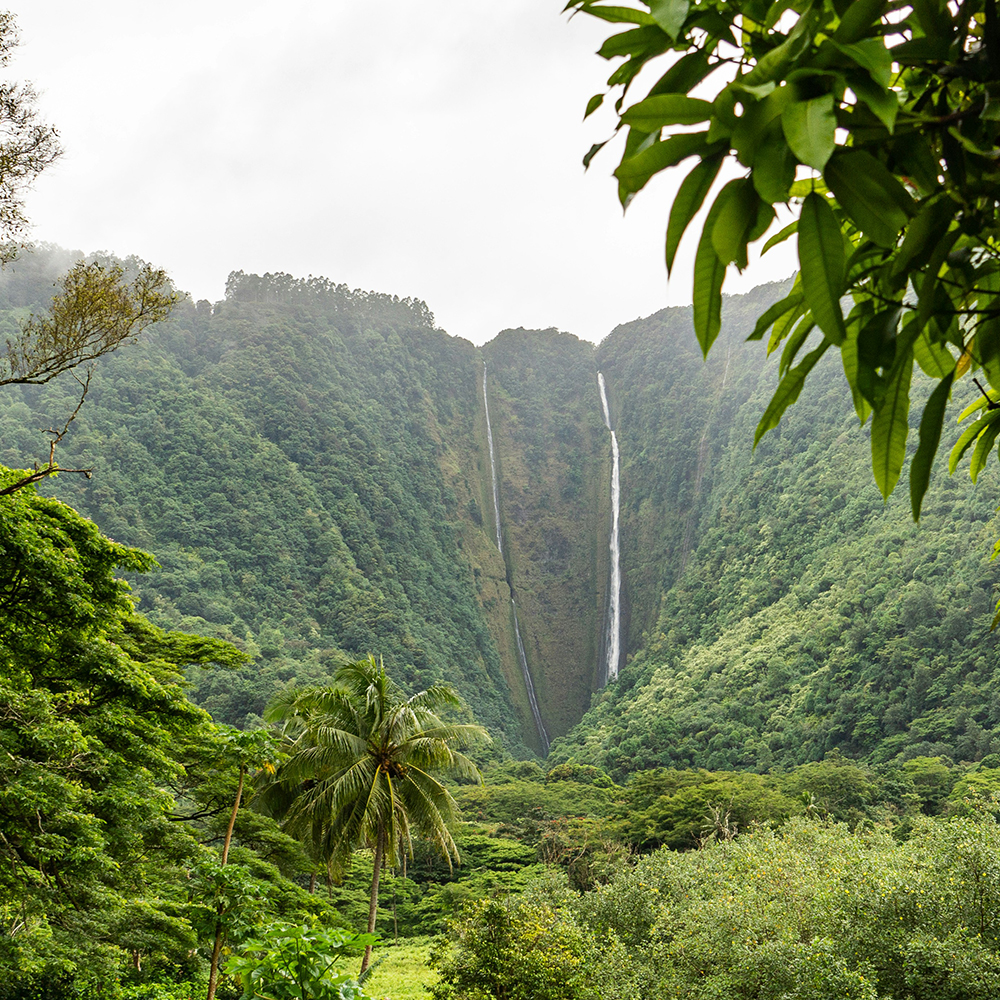 ハワイの渓谷と山々の写真