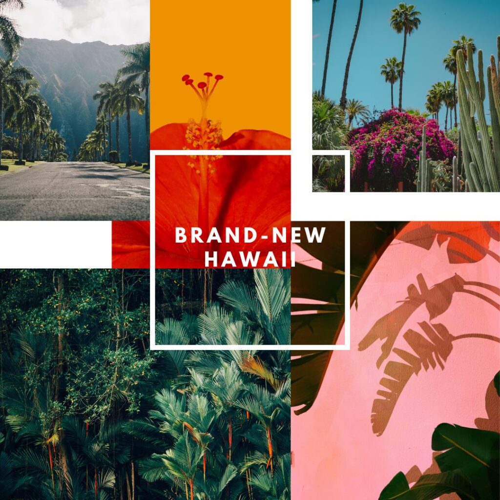 Brand-newHawaii