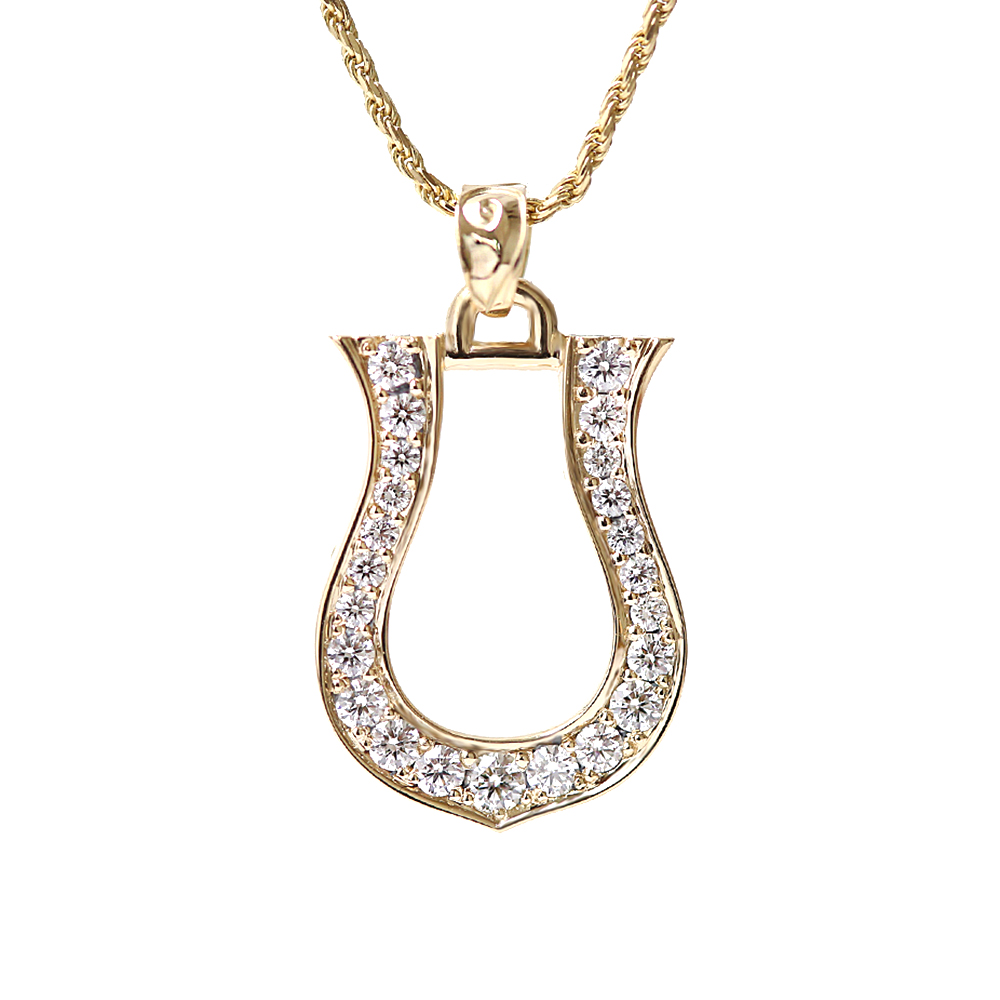 ハワイアンジュエリー ネックレス - ハワイアンジュエリー PUA ALLY  