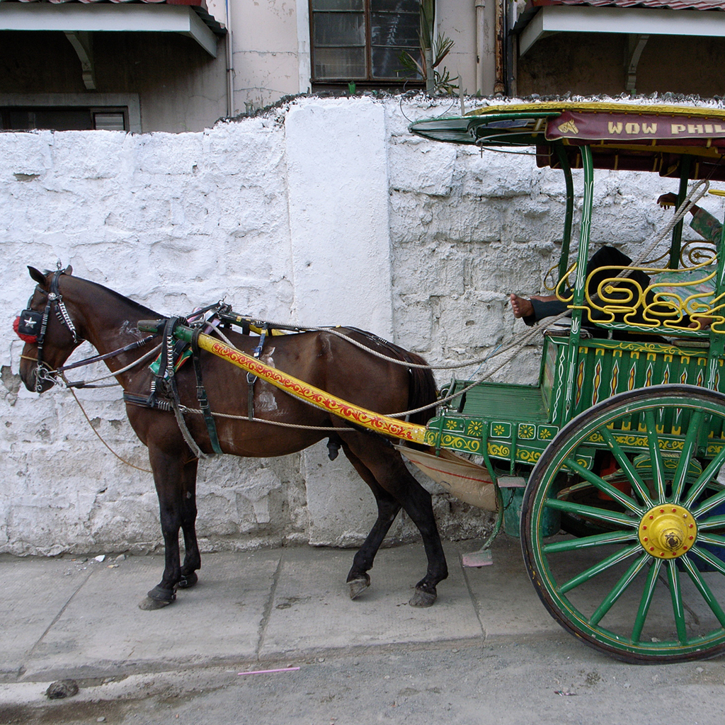 carriage(キャリッジ)