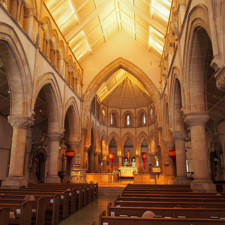 cathedral(カテドラル)