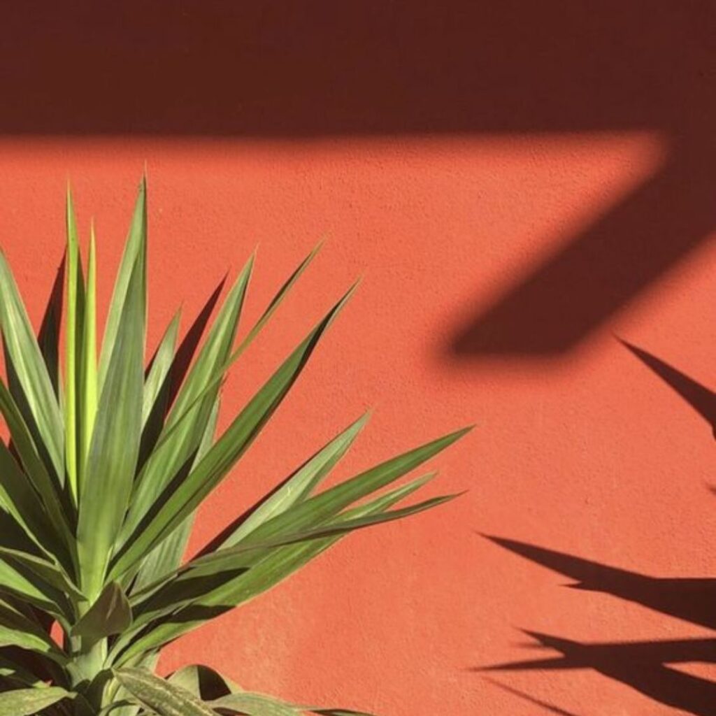 ()ハワイアンVモチーフ画像