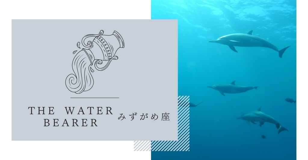 みずがめ座のハワイアンモチーフイルカ