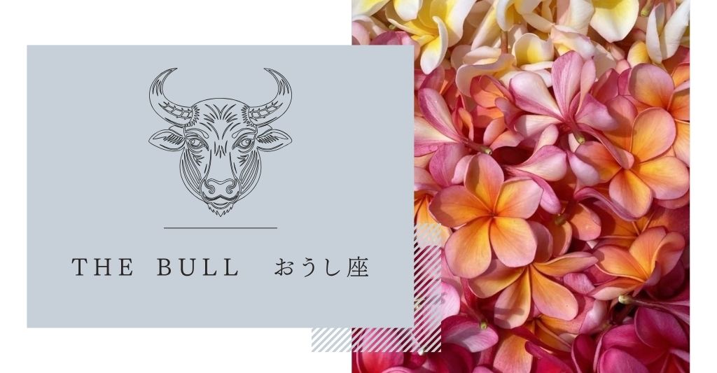 おうし座のハワイアンモチーフプルメリア