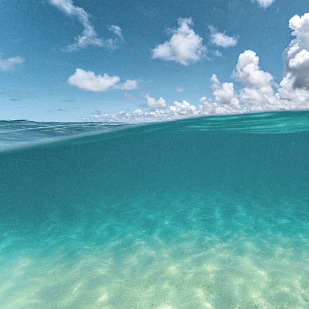 海面と海中の境目
