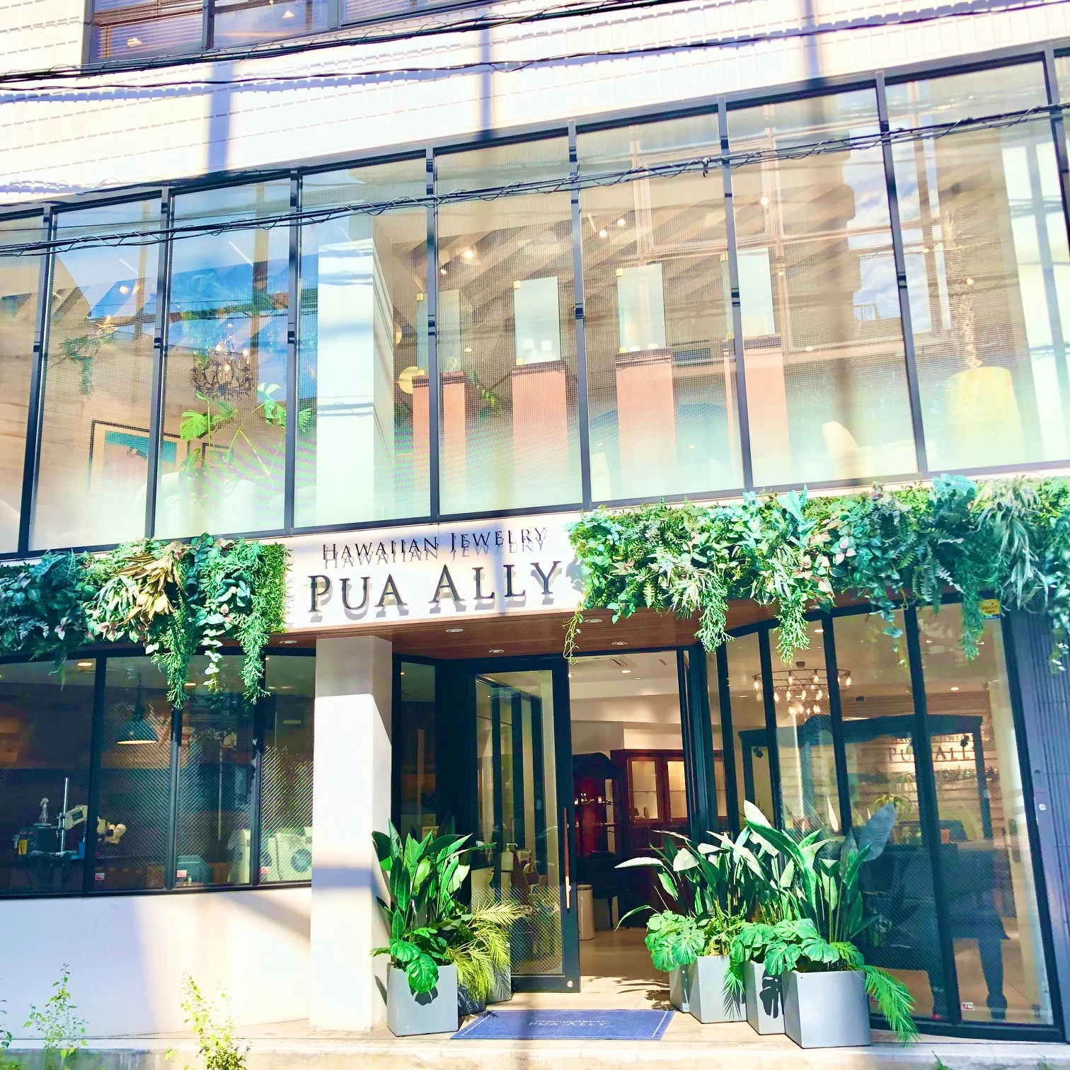 お客様の声 T様