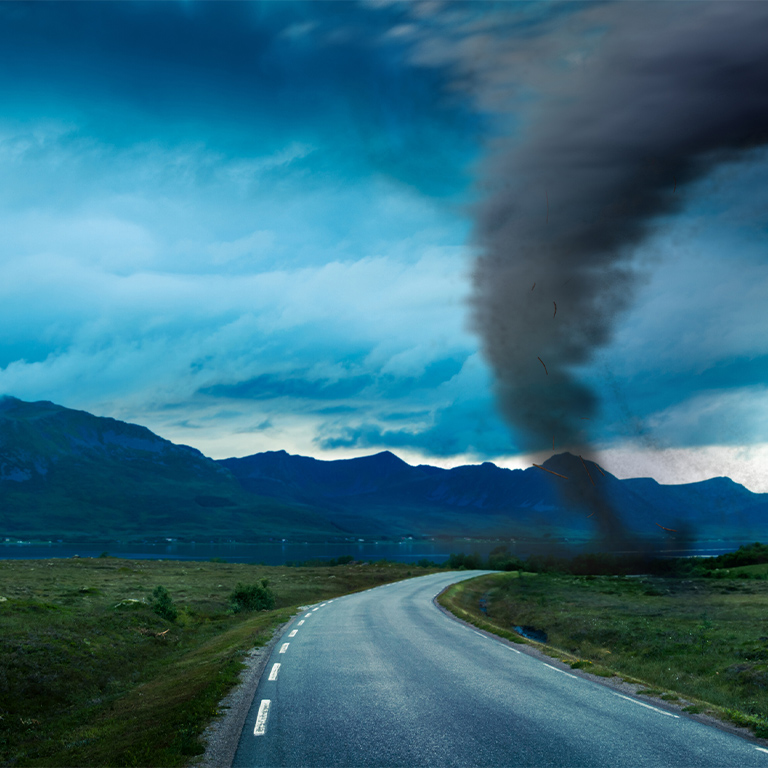Tropical Storm（トロピカルストーム）