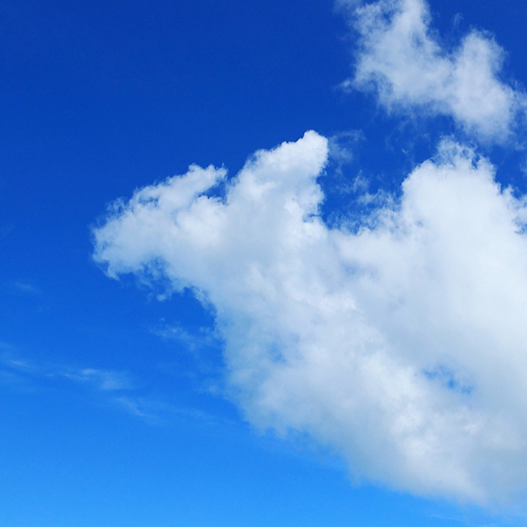 swallow（スワロー）