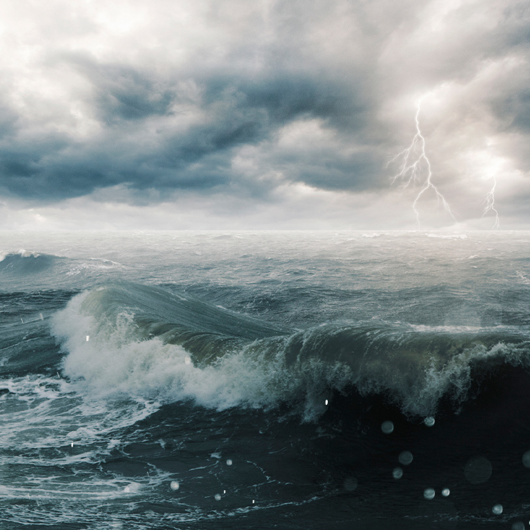 Tropical Storm（トロピカルストーム）