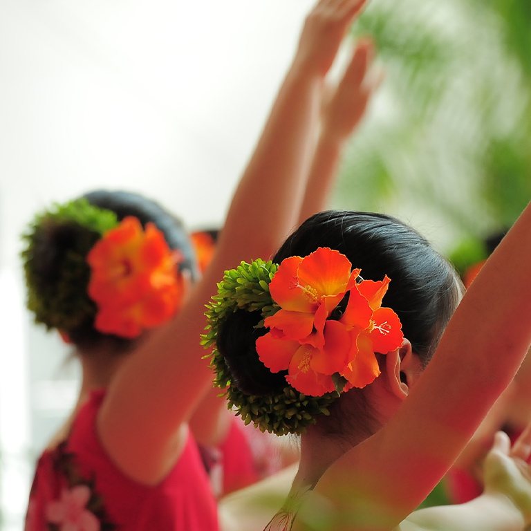 Bougainvillea（ブーゲンビリア）