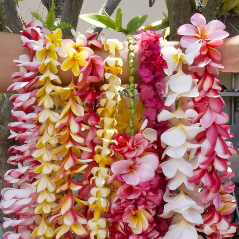 たくさんのハワイのレイが腕にかけられている